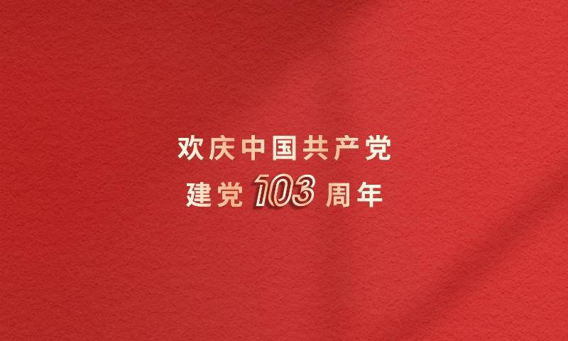 砥砺前行 低空高飞 | 庆建党103周年，宝运莱岳阳、漯河双党支部成立